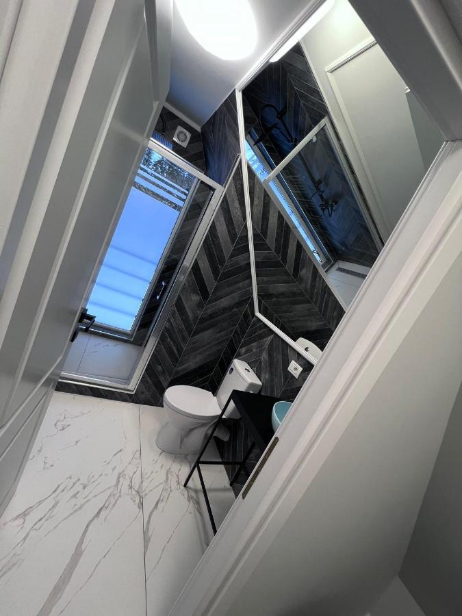 فيلا Doinita House Borşa المظهر الخارجي الصورة