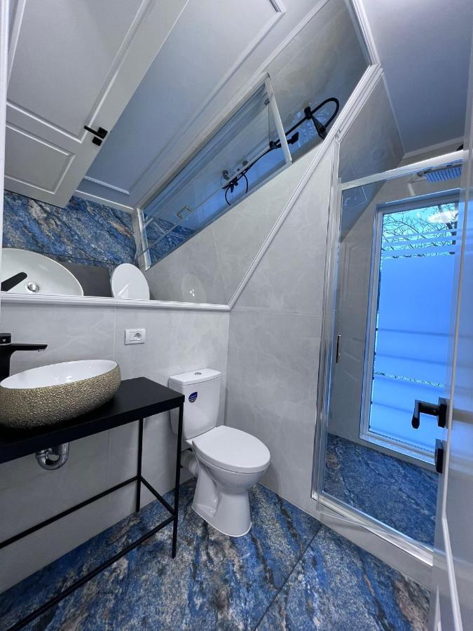فيلا Doinita House Borşa المظهر الخارجي الصورة