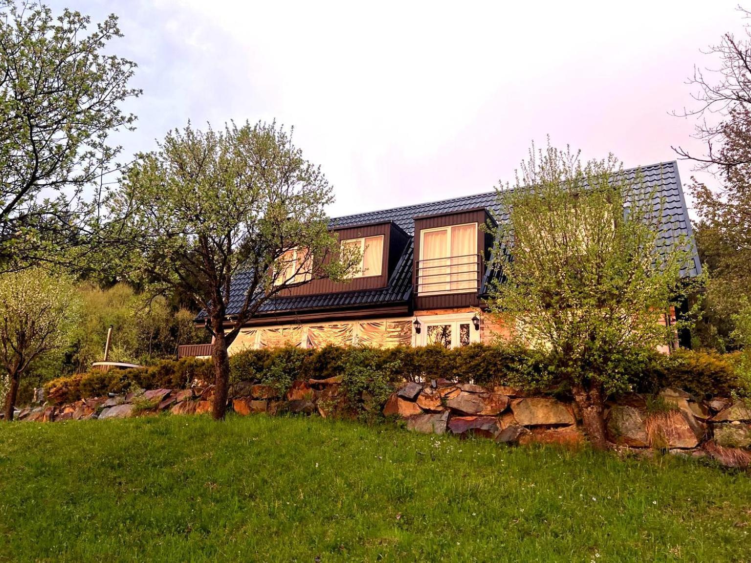 فيلا Doinita House Borşa المظهر الخارجي الصورة