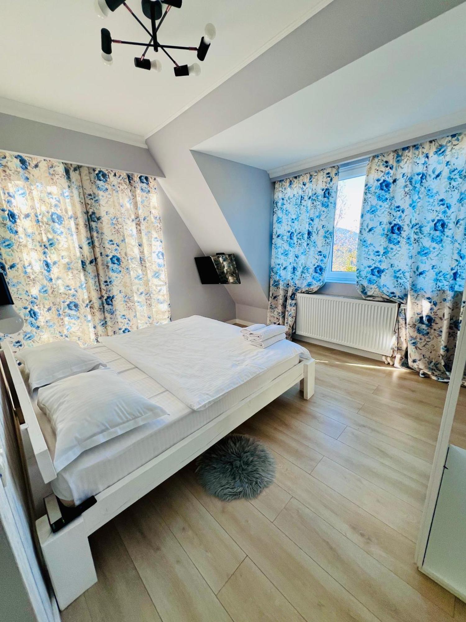 فيلا Doinita House Borşa المظهر الخارجي الصورة